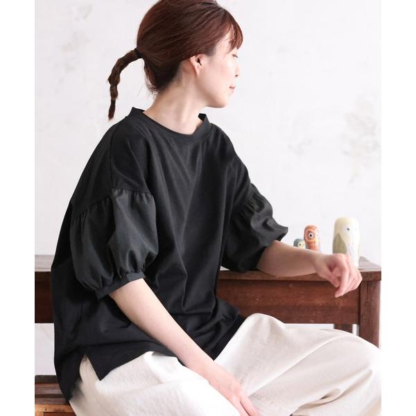 tシャツ 小粋な襟のプルオーバー レディース