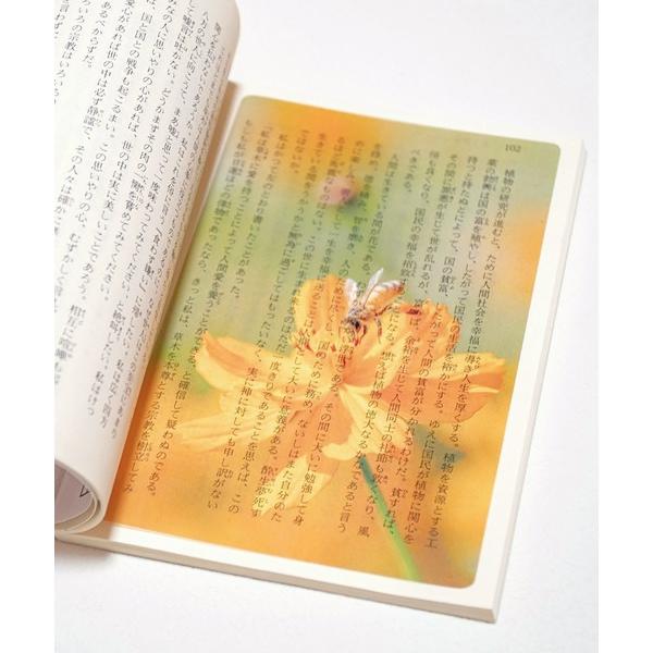 本 Transparent Photo Bookmark 透明写真栞 しおり ブックマーカー