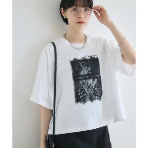 tシャツ TRANOI.  レースワイドTシャツ レディース