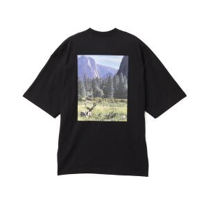 「THE NORTH FACE」 半袖Tシャツ S ブラック レディース