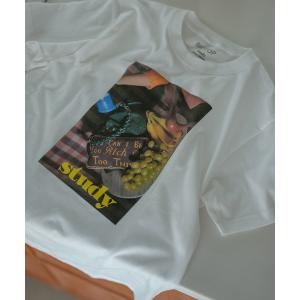 tシャツ 「STUDY for BIOTOP」Photo T-Shirts 26SS レディース