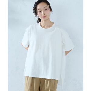 tシャツ 半袖 バックフレア Tシャツ レディース