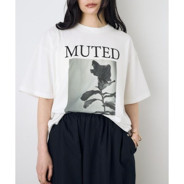 tシャツ 半袖 フォトプリントTシャツ レディース
