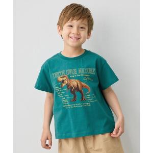 tシャツ 「綿100％」恐竜プリント 半袖Tシャツ キッズ 子供服 男の子