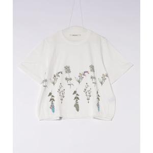 tシャツ 30／−天竺ボタニカルリーフ発泡プリントTシャツ レディース