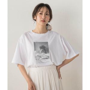 tシャツ チュール重ねフォトTシャツ レディース
