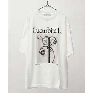 tシャツ アーティストTシャツ（Karl Blossfeldt / Cucurbita L.） メンズ レディース