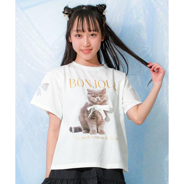 tシャツ 「接触冷感」リボン付き転写猫Tシャツ キッズ 子供服 男の子