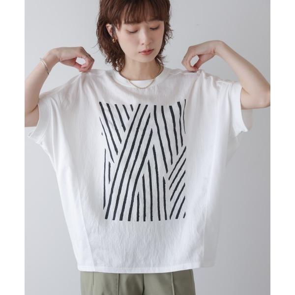tシャツ モノトーンゼブララインＴシャツ レディース