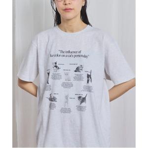 tシャツ 半袖 cat studies Tshirt レディース