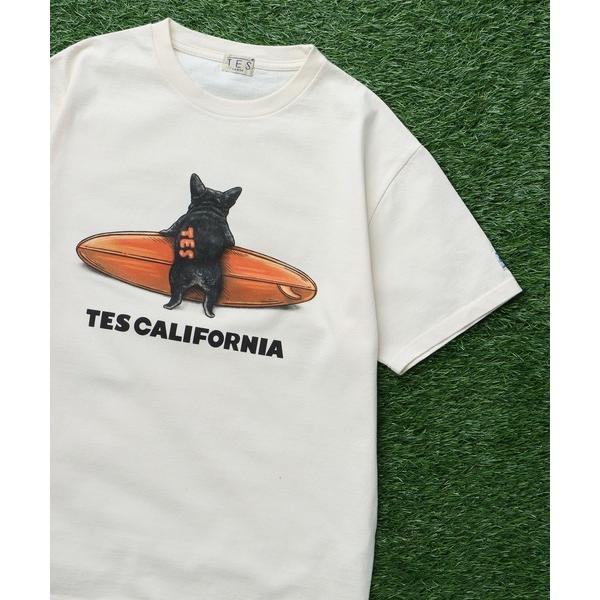 tシャツ TES 4COLOR BUHI SURFER T-SHIRT / Tシャツ メンズ レディ...
