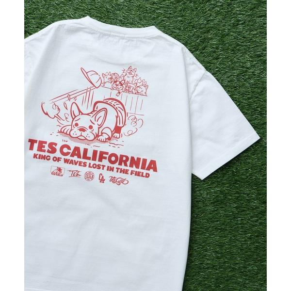 tシャツ TES SURF PRO.BALL ROOKIE T-SHIRT / Tシャツ メンズ レ...