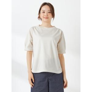 tシャツ サッカーストライプＴ レディース