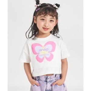 tシャツ バタフライ グラデーション プリント クロップドTシャツ キッズ 子供服 女の子