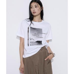 tシャツ スーピマコットンポンチ Tシャツ レディース