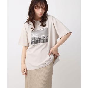 tシャツ 半袖 「NOAHL」接触冷感プリントTシャツ レディース