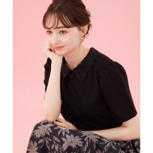 uvカット tシャツ 「UVカット・接触冷感・洗える」襟レース トップス レディース