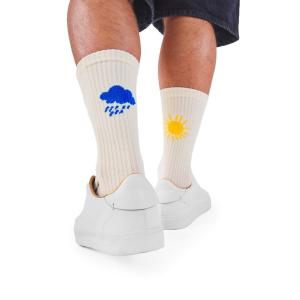 靴下 SPORTS SOCKS-ICONS レディース メンズ