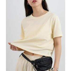 tシャツ 半袖 「WEB限定/リバイバル」バックロゴ刺繍コンパクトTシャツ レディース