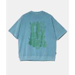 tシャツ gym master/ジムマスター　6.2oz ピグメント サボテン ビッグTee メンズ レディース