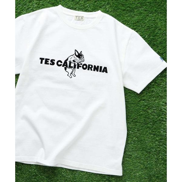 「The Endless Summer」 半袖Tシャツ X-LARGE ホワイト メンズ