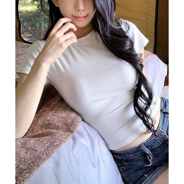 tシャツ 半袖 ラウンドネック 半袖タイトＴシャツ レディース