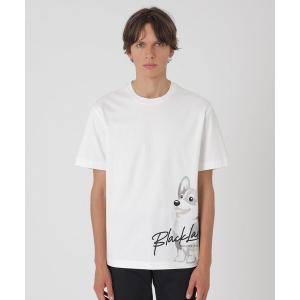 【美品】BLACK LABEL CRESTBRIDGE Tシャツ BLACK LABEL CRESTBRIDGE（ブラックレーベル クレストブリッジ） t