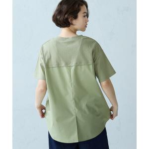tシャツ 半袖 バックフレア Tシャツ レディース