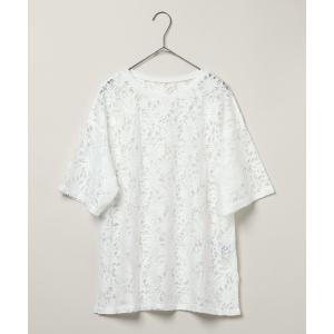 tシャツ 「daily CLIP」シアーレースプルオーバー レディース