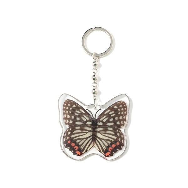 キーホルダー REAL BUG/ BUTTERFLY KEY CHAINS