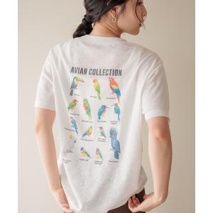 tシャツ 半袖 「daily CLIP」bird...の商品画像