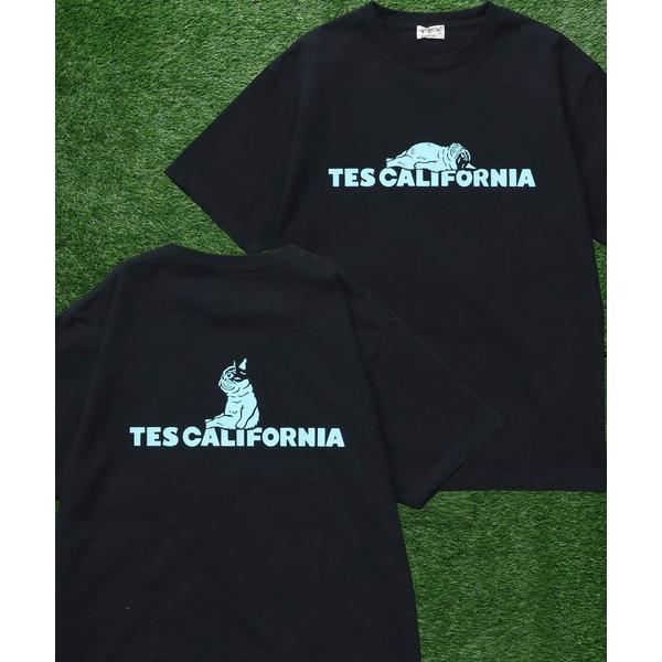 「The Endless Summer」 半袖Tシャツ SMALL ブラック メンズ