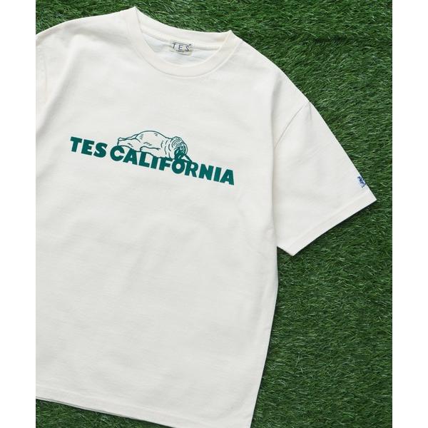 「The Endless Summer」 半袖Tシャツ SMALL アイボリー メンズ
