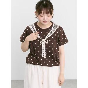 tシャツ 半袖 「オーガニックコットン」ドット柄Tシャツ レディース