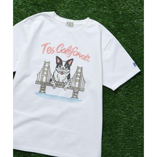 「The Endless Summer」 半袖Tシャツ LARGE ホワイト メンズ