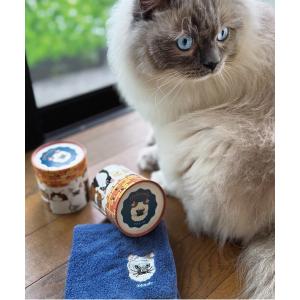 nicott（ニコット） ハンカチ NC:カワムラオリエ CAT ALL CA ねこ柄