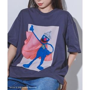 tシャツ 半袖 フォトアートＴシャツ レディース