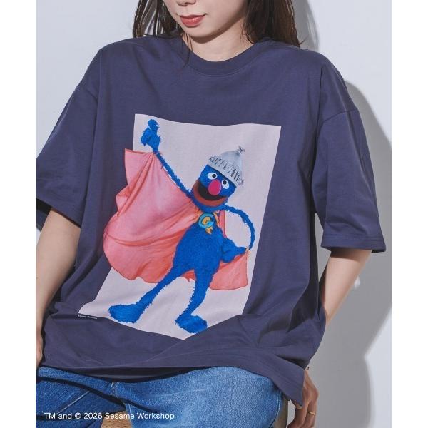 tシャツ 半袖 フォトアートＴシャツ レディース