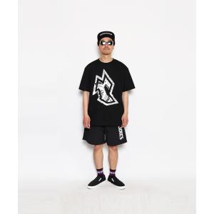 tシャツ DIVISION PAISLEY TEE メンズ レディース