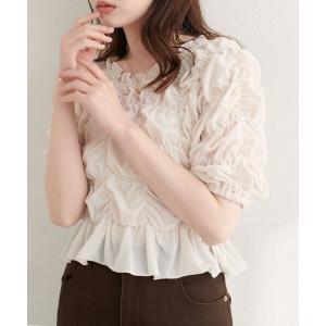 tシャツ 半袖 シアーベロアシャーリングTOPS レディース