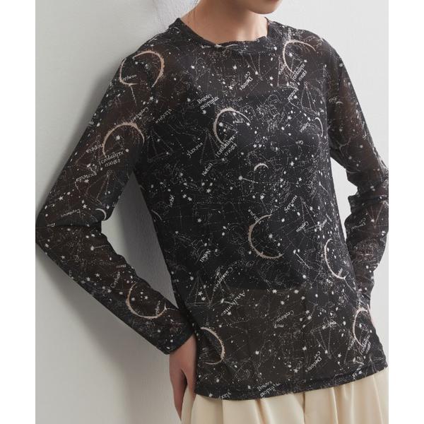 ヘンリーネック tシャツ プリントパワーネット長袖シアートップ レディース