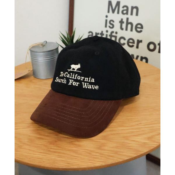 キャップ 帽子 メンズ TES SUEDE BICOLOR LOWCAP メンズ レディース