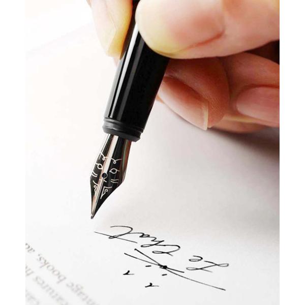 ペン TOOLS to LIVEBY ツールズ トゥ リブバイ ファウンテンペン 万年筆 猫