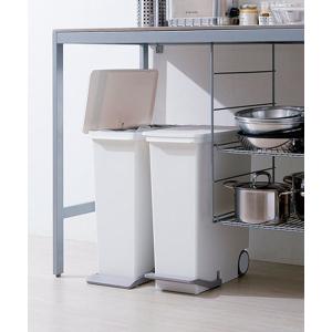 ゴミ箱 ダストボックス オルア33スリム  タテ型分別ペタルペール