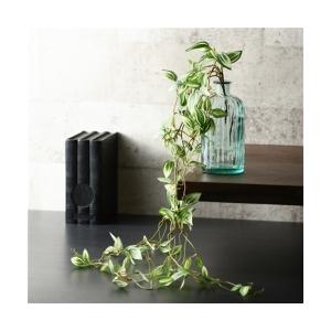 インテリア クライミングプランツ ポトス グリーン