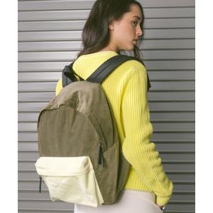 Demi-Luxe BEAMS（デミルクス ビームス） デイバック リュック AK+1