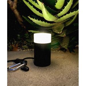 Francfranc（フランフラン） 照明 マーブルヴェール シーリングランプ