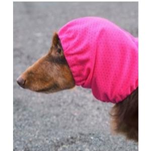 犬と生活/いぬとせいかつ/高撥水雨の日スヌード/犬服