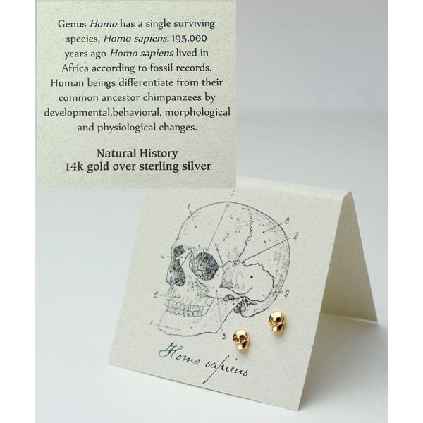 ピアス 「ieLS」SV925 ナチュラルヒストリーピアス「ギフト台紙付」 レディース メンズ