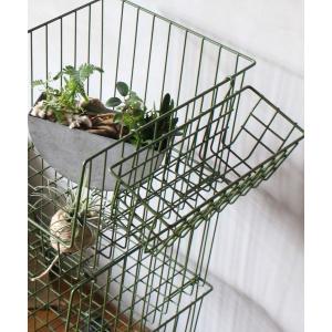 TODAY'S SPECIAL（トゥデイズスペシャル） 収納 ヴィスバスケット